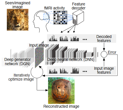 AI tool generates video from brain activity