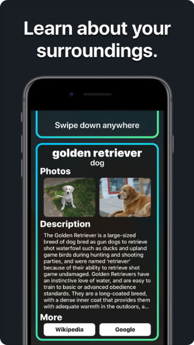 Teenager Develops AI Visual Search App That Recognizes 17,000 Objects |  NVIDIA Technical Blog