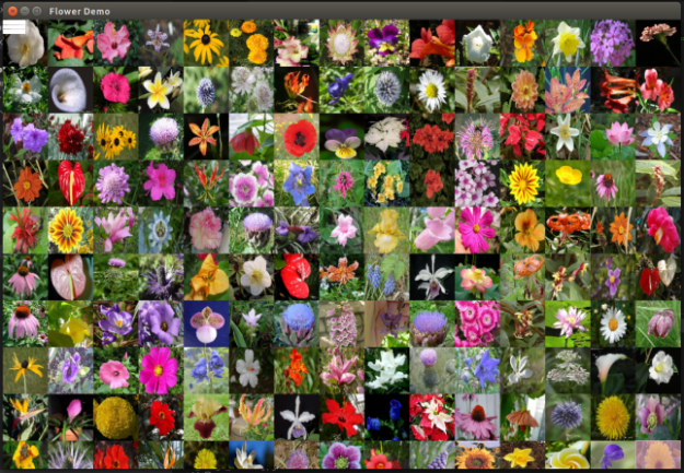 A screenshot of a grid of flower images.