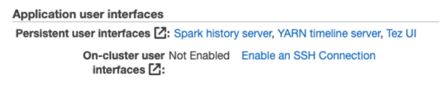 Diagram shows The Application user interfaces section of the EMR cluster management details page, with a link for information to enable an SSH connection.