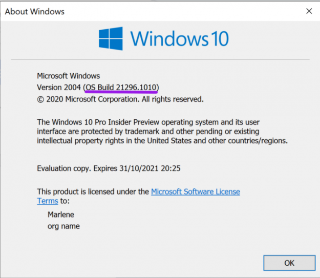 Image of updated Windows 10 OS Build. The build in the image is OS Build 21296.
