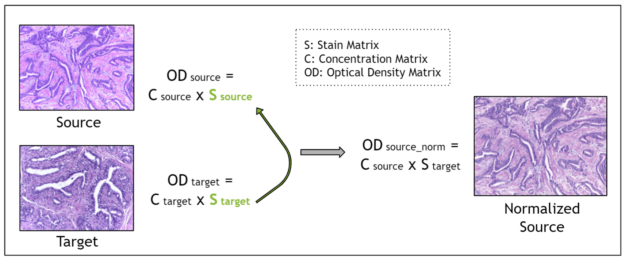 Stain deconvolution-based methods replace a source image’s stain matrix with that of a target image.