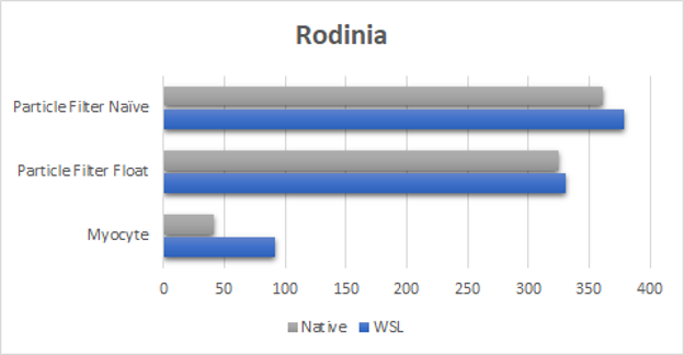 Figure showing near native performance results using the Rodinia benchmark test.