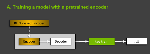 Chart shows a general workflow of using a pretrained encoder to train a model with TAO Toolkit. The workflow illustrates foundational subtasks for training models using a generic pretrained BERT-based encoder.