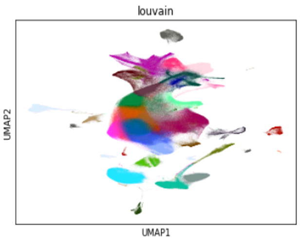Visualization of the gene expressions for the 1.3M mouse brain cells clustered with Louvain and laid out in 2 dimensions with UMAP.