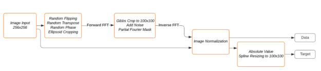 Block diagram of dldegibbs GIbbs phenomenon starting with image input, going through random flipping, random transpose, and other standard data augmentation methods, Gibbs cropping, inverse FFT, image normalization, and a split path to data or spline resizing to a target.