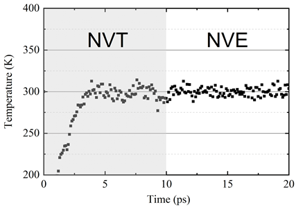 The image displays the temperature profiles of the graphene system under NVT and NVE ensembles from 0 to 20 picoseconds. The first 10 picosecond is NVT and the second 10 picosecond is NVE.
