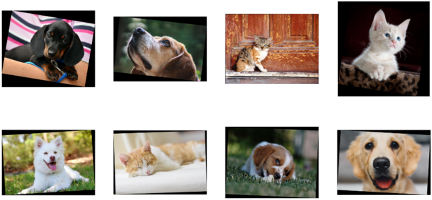 Two rows with four pictures each, showing pictures rotated by different angles, representing the results of the rotate pipeline example.