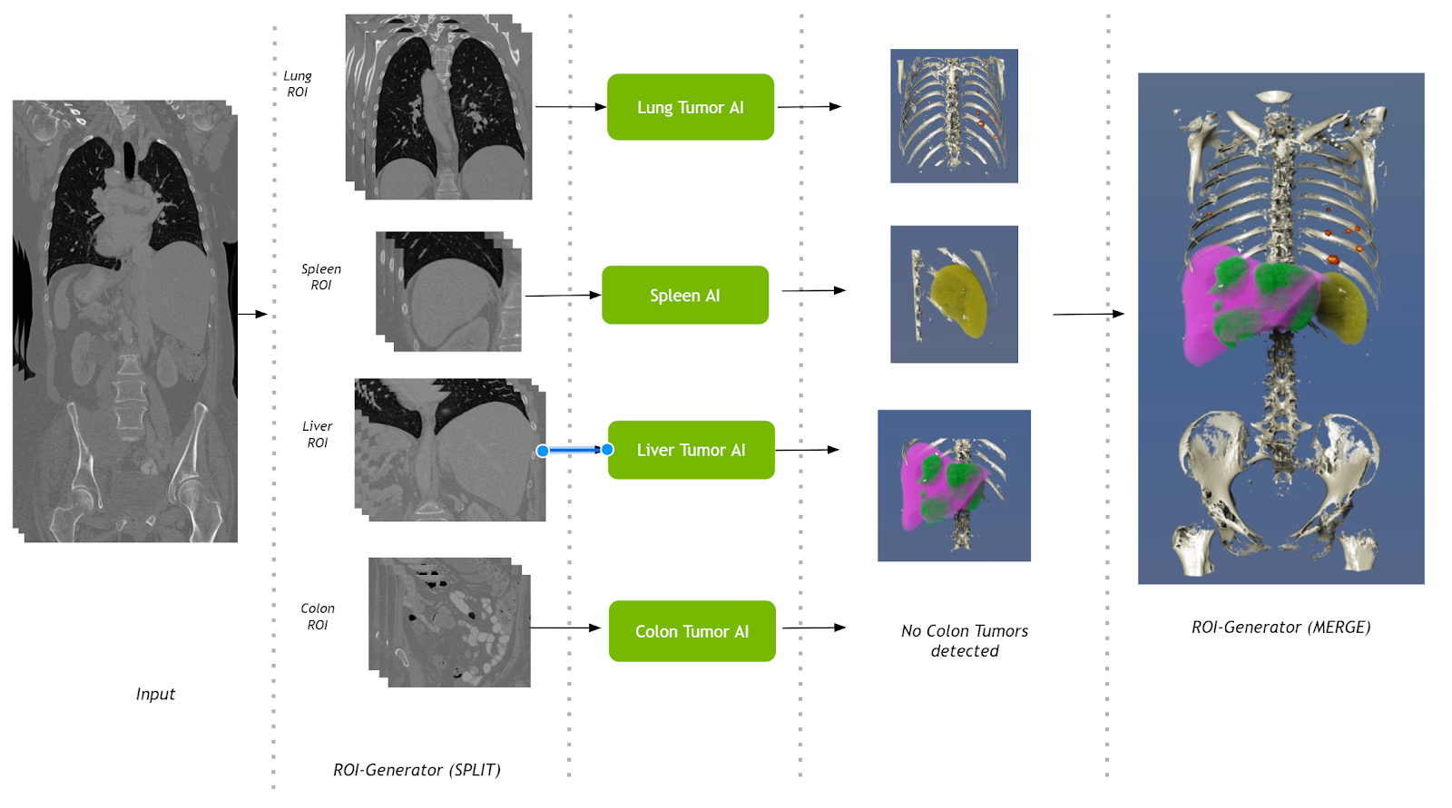 The Multi-organ AI pipeline takes a CT study, runs several organ segmentation algorithms including lung, spleen, liver, and colon, and combines the outputs into a single presentation using Clara Render Server.