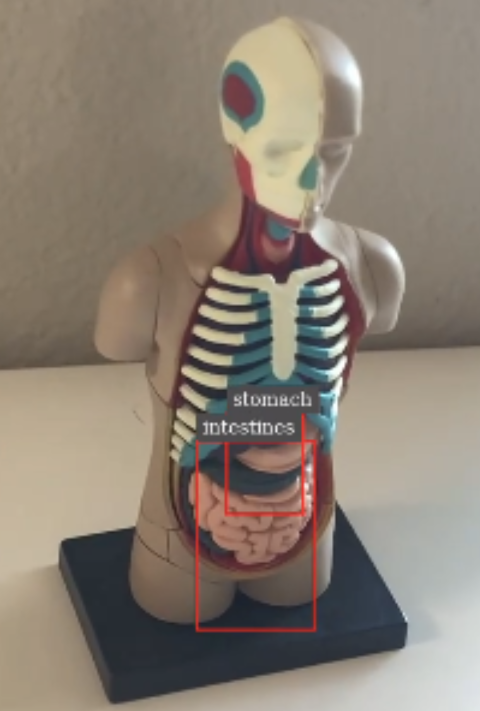 Visual example of bounding boxes in rendered video from the DeepStream Batch pipeline.