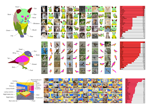 The AI recognizes the face of a cat, bird, or aspects of a room. This is because the images used in the training model show the AI what part of the cat, or bird, is what. 