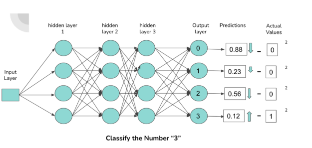 Neural Network with connections and predictions.
