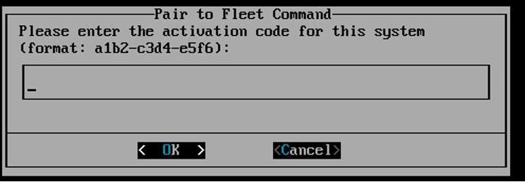 Screenshot of the server boot prompt to type in the activation code.