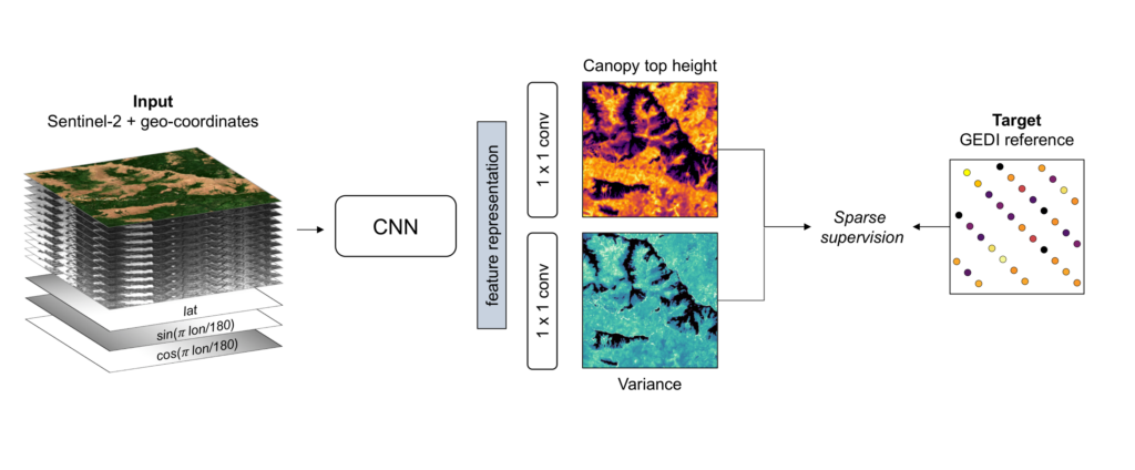 A graphic showing the steps in the CNN from using GEDI data, to Sentinel-2 image layering, to the CNN processing under sparse supervision.