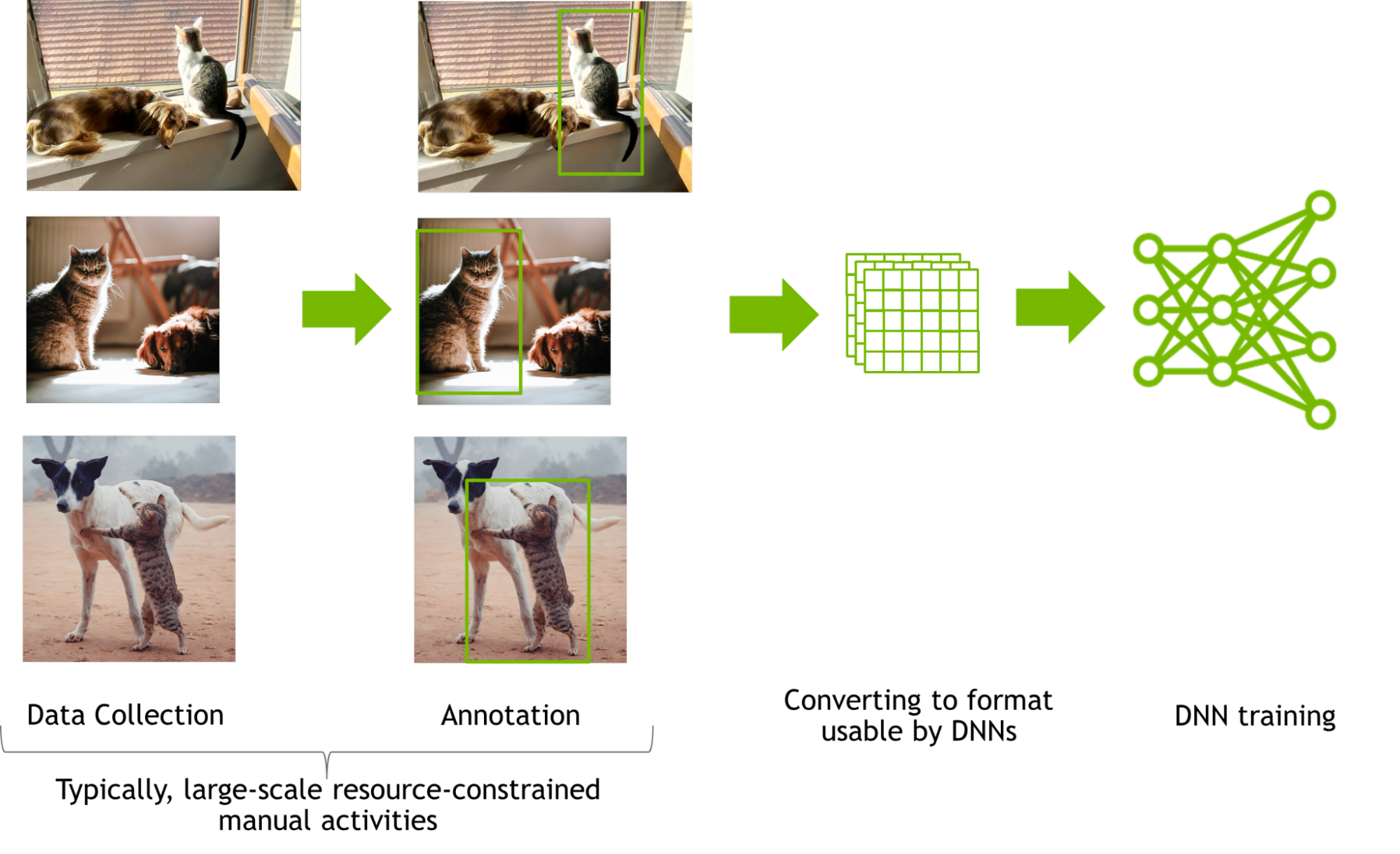 Graph showing the process from data collection, annotation, converting data to usable formats for Deep Neural Network training 