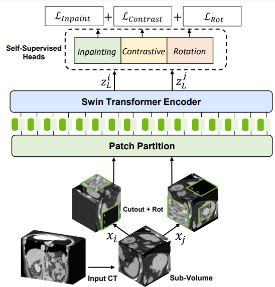 Pretraining framework showing how the Swin UNETR encoder works for self-supervised tasks.
