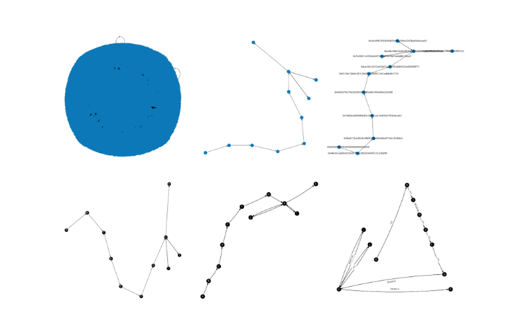 Six separate network graphs of the same data in various stages of detail, graph 1: all data as a blob of blue, graph 2: single network with no labels, graph 3: single network with wallet addresses as labels, graph 4: single network with wallet addresses replaced with sequential letters, graph 5: single network with sequential letters for labels and added directional arrows, graph 6: single graph with sequential letter labels, directional arrows, and labels of money spent for each transaction..
Source: Graphs from notebook tutorial.
