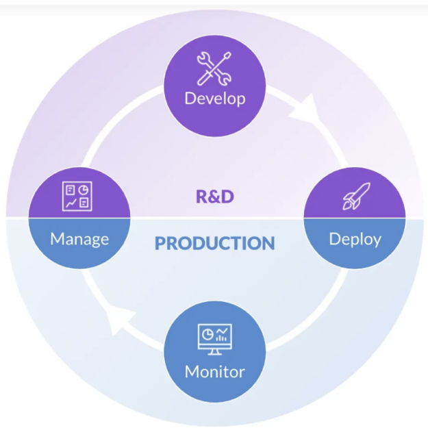 Graphic illustrating the four phases of the data science lifecycle