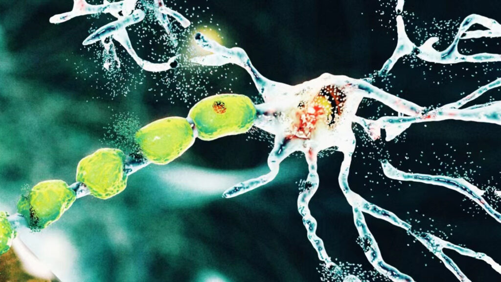 Image Credit: Insilico Medicine