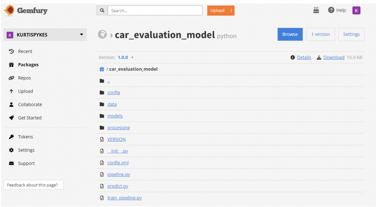 Screenshot of Gemfury interface showing a privately packaged machine learning car evaluation model.