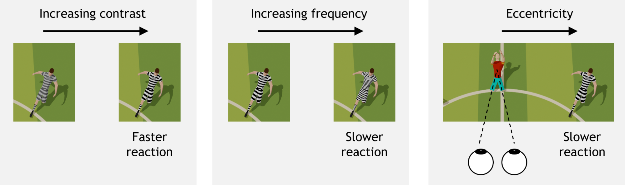 Graphic showing yhree visual characteristics that influence saccadic reaction time: contrast (left), frequency (center), and eccentricity (right)