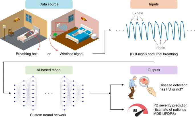 Outline of the AI model, from collecting data during sleep, sending outputs, processing in the AI model to evaluating the presence of Parkinson's.