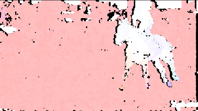 Picture shows black spots for rejected flow vectors.