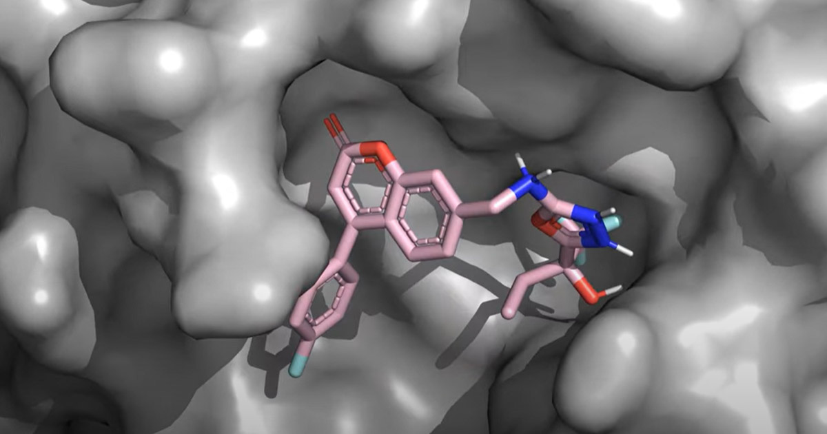 Image of large language models being used for drug discovery.