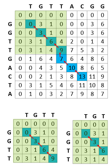 The best match of GGTT with TGTT also calculates the best match of GGTT with TGT. In fact, the best match with every prefix of TGTTACGG with every prefix of GGTTGACTA is calculated in the scoring matrix.