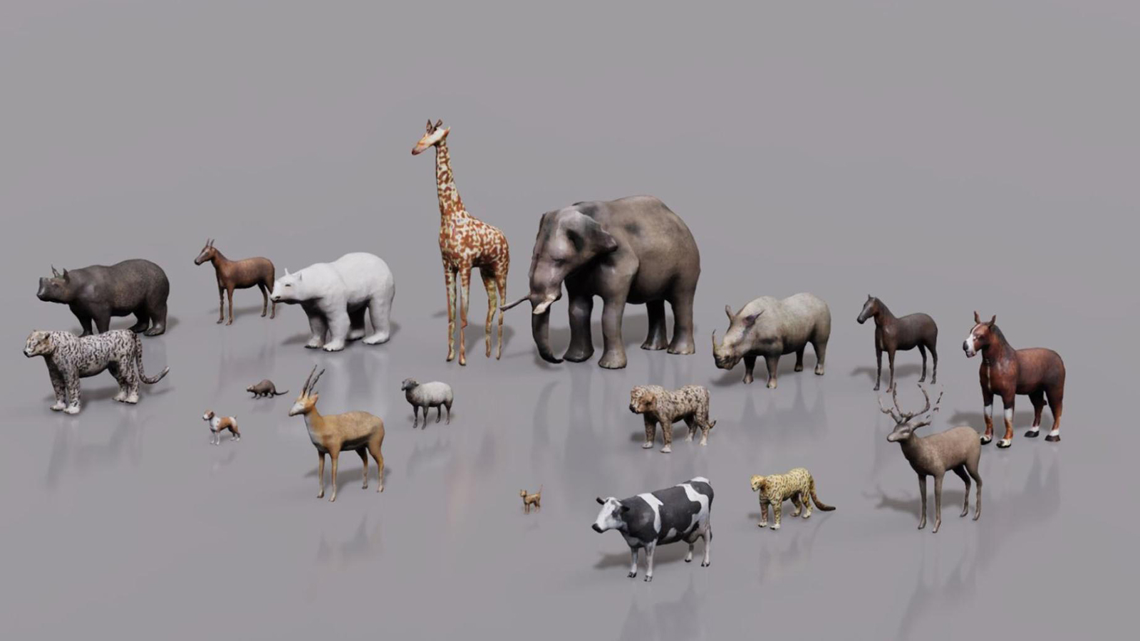 A group of different animals standing together.