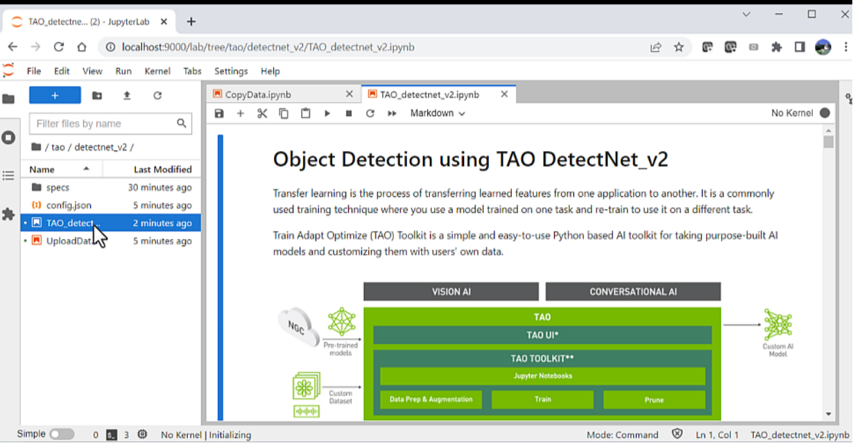 Screenshot of TAO DetectNet_v2 notebook that is used for training the model.