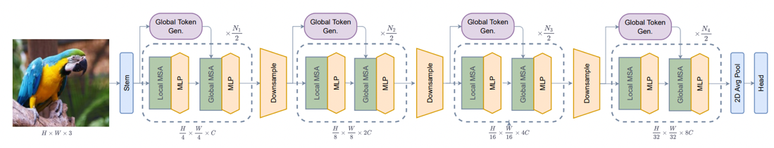 Diagram of the architecture for GC-ViT.
