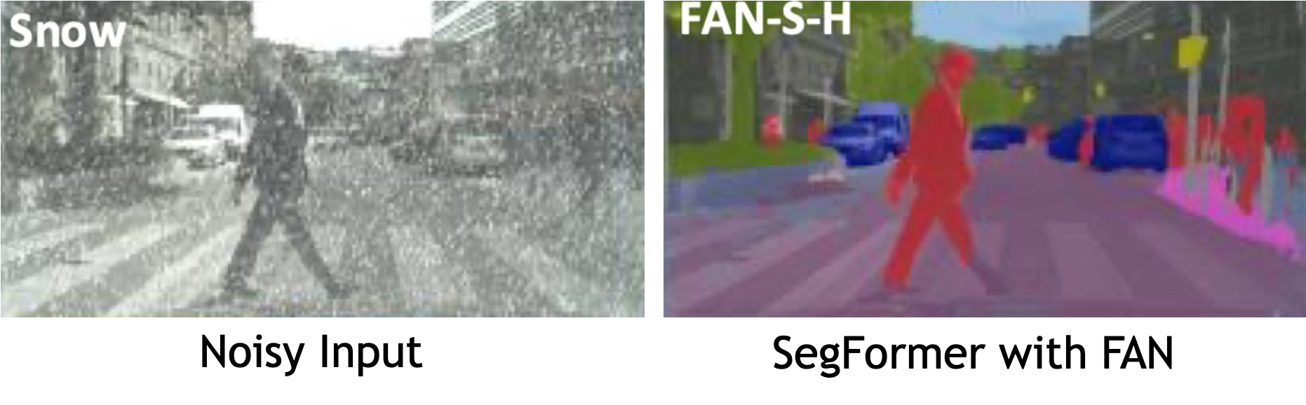 An image of a man walking across the street as a noisy input (left) and the same image with SegFormer with FAN (right).