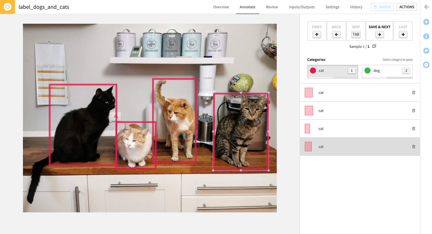 Screenshot of Dataiku’s image labeling tool.