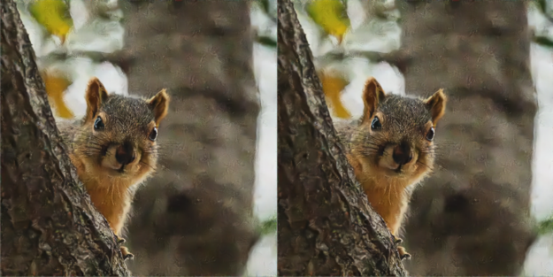 Two denoised images of a squirrel, one from the FP32 model and one from the FP16 model.