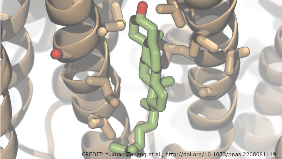 Biomolecule