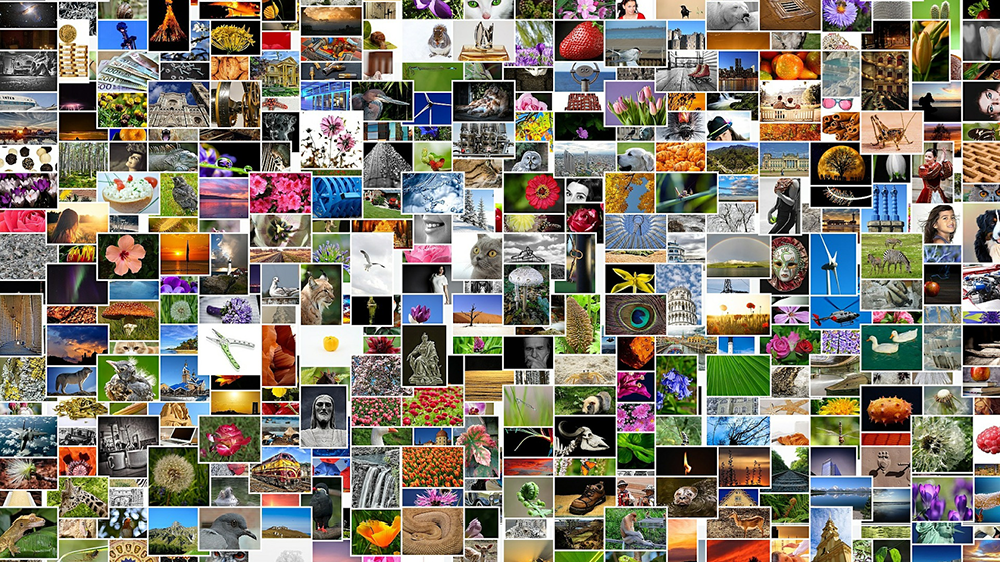 A large layout of various images.