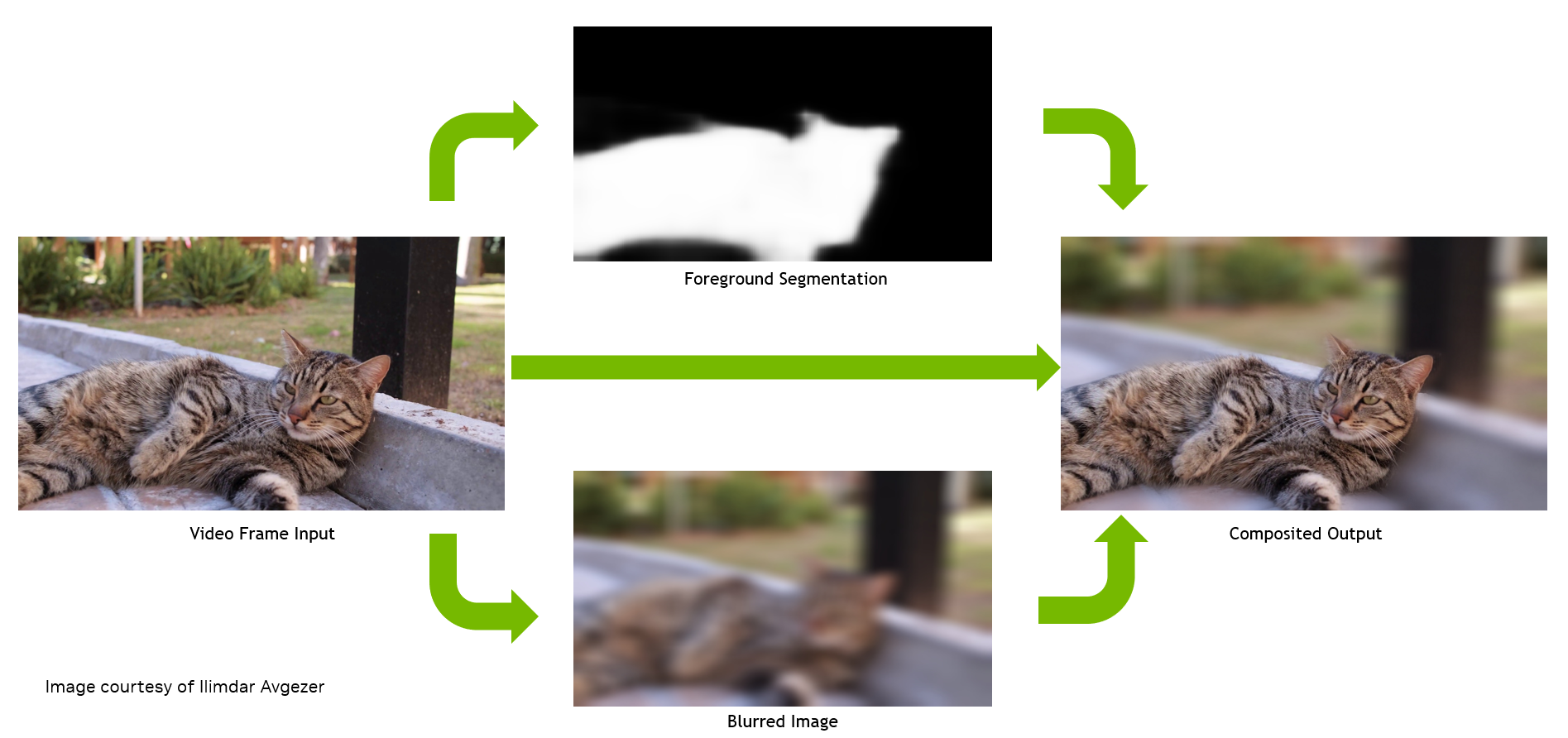 Frame of cat video passing through the video segmentation pipeline outputs the blurred background leaving the cat in the original video.
