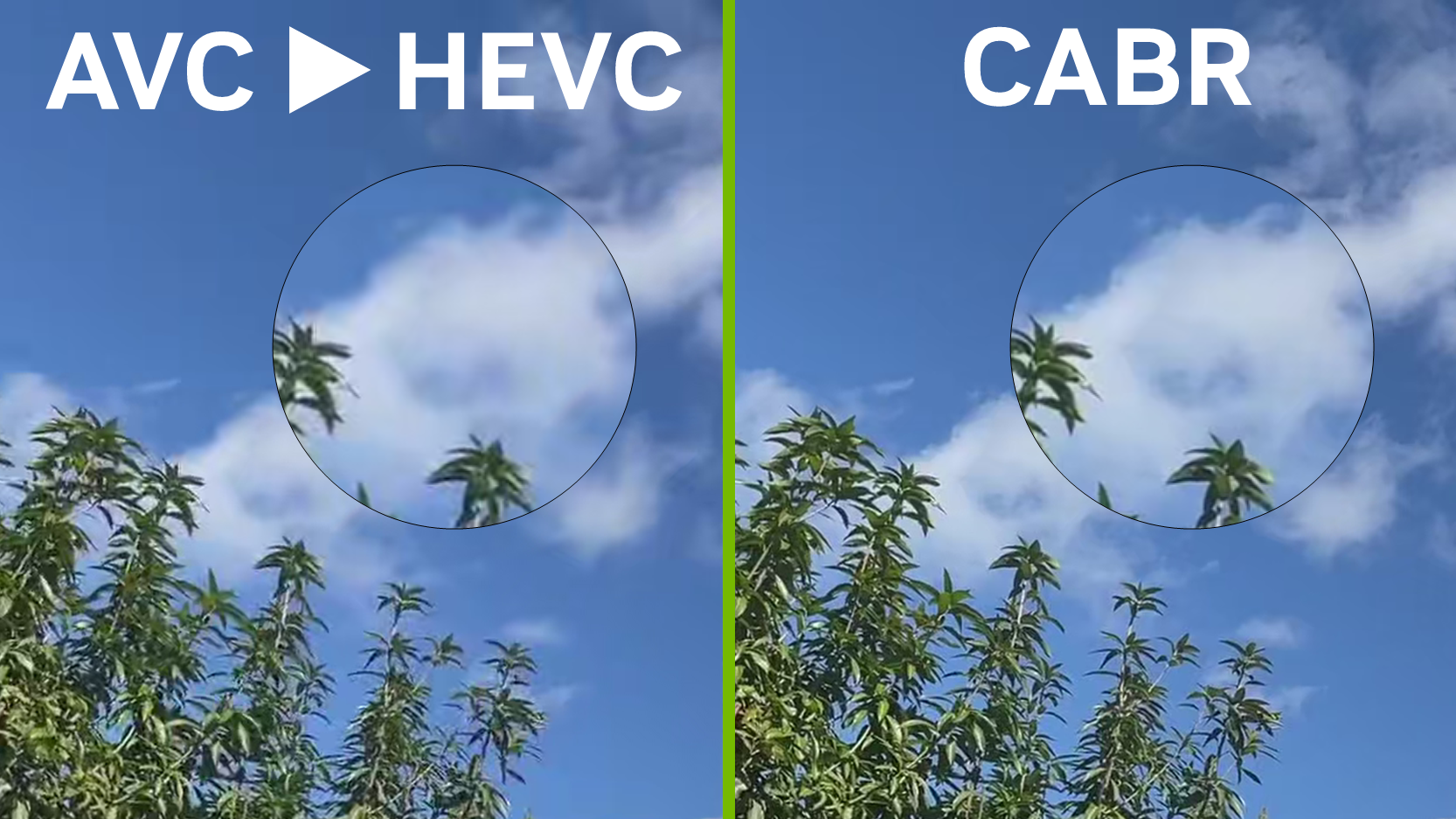 Two versions of the same image with one using CABR and resulting in higher-quality compressed HEVC video.