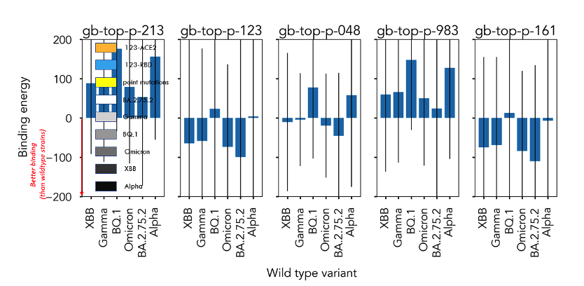 Chart shows binding energy from -200 to +200 and depicts five wild-type variants. One prominently shows binding energy values for XBB (nearly 100), Gamma (nearly 100), BQ.1 (about 175), Omicron (about 75), BA.2.75.2 (about 50), and Alpha (about 150). The other four examples exhibit a range of binding energy values.