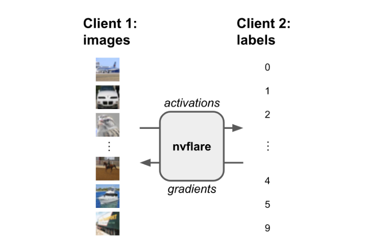 Diagram showing data and labels being split across different clients to keep sensitive information confidential, with ‘Client 1: Images’ on the left and ‘Client 2: Labels’ on the right.
