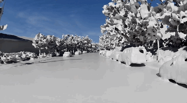 A GIF of a neighborhood that switches between the RGB capture and the 3D model rendered by NKSR

