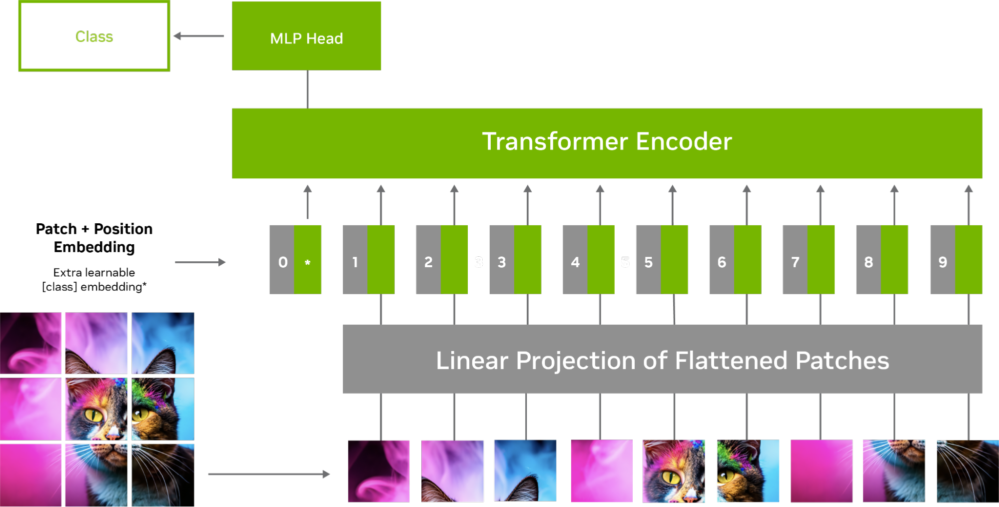 ViT encoding workflow with an image split in patches, showing positional embeddings and feeds into a transformer encoder.