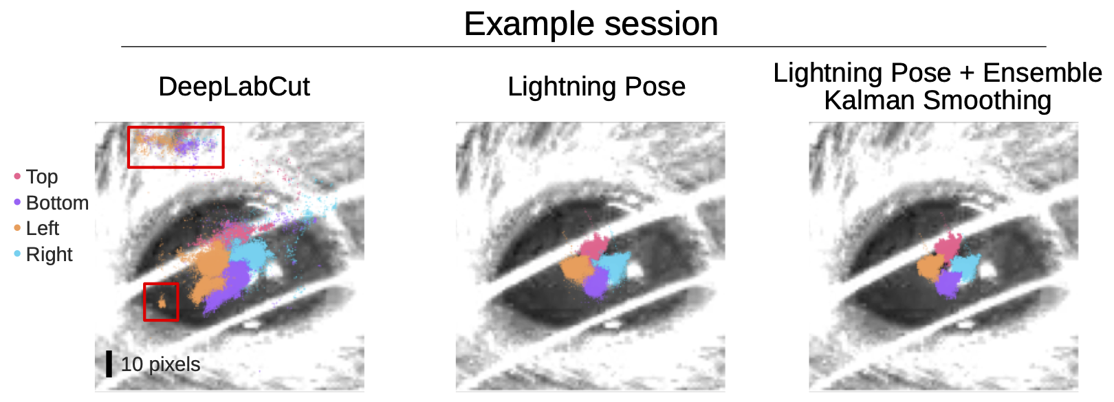 Prediction comparison of mouse pupil tracking between DeepLabCut model and Lightning Pose, and Lightning Pose combined with Ensemble Kalman Smoothing