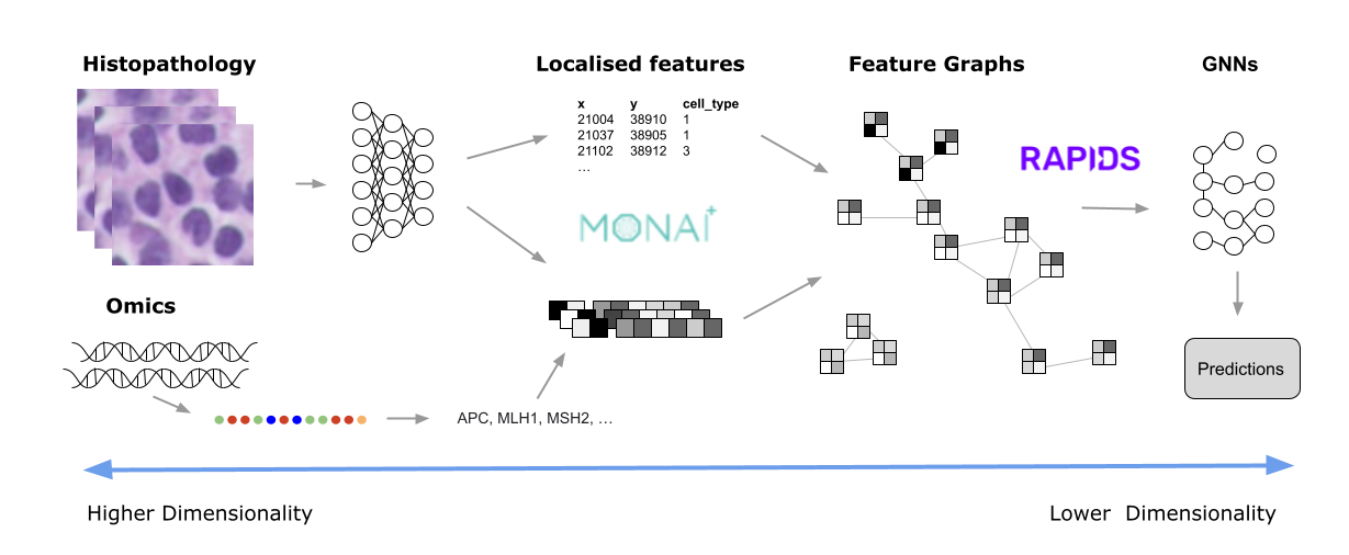 A visual description of the pathology image analysis pipeline, from raw images (or omics) to predictions.
