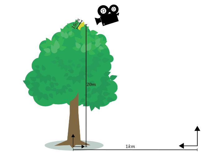 A diagram of a tree, placed 1 km from the world-space scene origin. Measurements are shown for a leaf of 10 cm within the tree, placed 20 m from the object-space origin. A camera icon is close to the tree, oriented towards the leaf.
