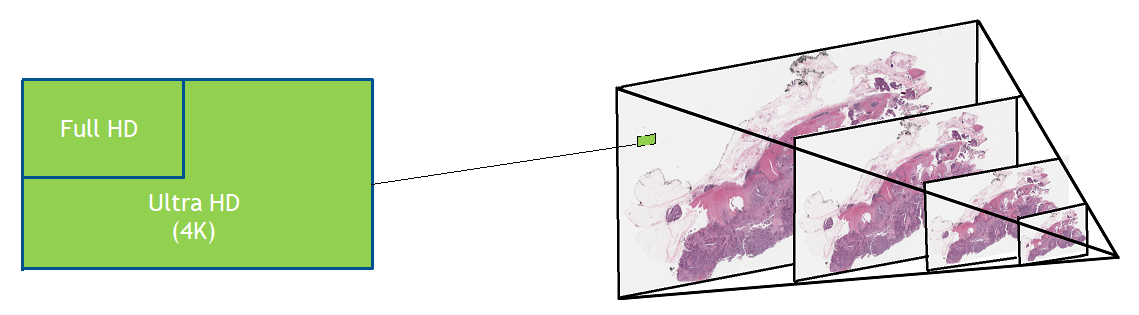 A diagram showing how whole slide images are saved in a pyramid format, with individual high resolution tiles that can be extracted from each level of the pyramid.