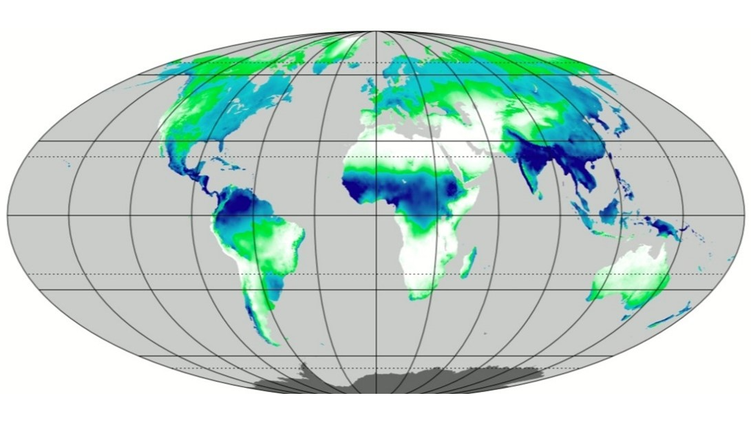 Globe regions in color