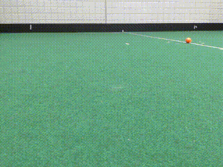 A gif of the robot grabbing a stationary ball.