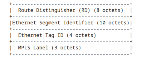 Image shows EVPN Type-1 Route frame format